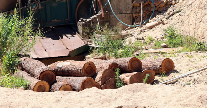 Kon Tum: Điều tra vụ hàng chục gốc cây bị cưa hạ ở xã Đăk Pxi ảnh 1