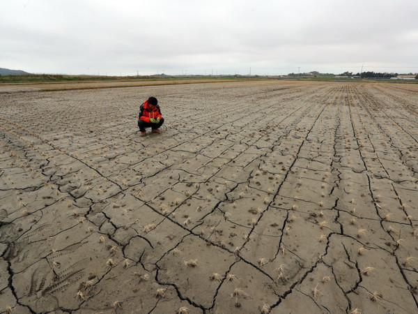 Trên 25% diện tích sẽ khô hạn dù nhiệt độ Trái Đất chỉ tăng 2 độ C ảnh 1