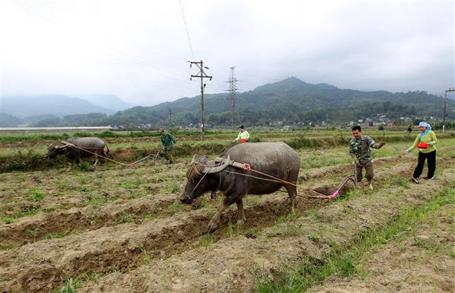 Bắc Bộ lạnh về đêm và sáng sớm, Trung Bộ có mưa rải rác về đêm ảnh 1