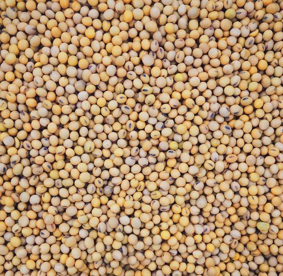 Bốn thành phần xóa tan các nếp nhăn nhất định bạn phải biết ảnh 11