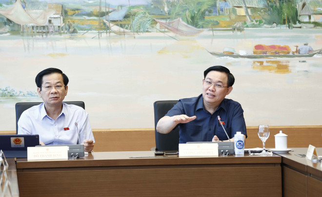 Cần tập trung tăng cường năng lực cho thanh tra cấp huyện ảnh 1