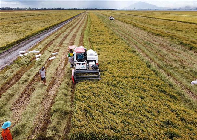 Quy chế hoạt động Hội đồng Điều phối vùng Đồng bằng Sông Cửu Long ảnh 1