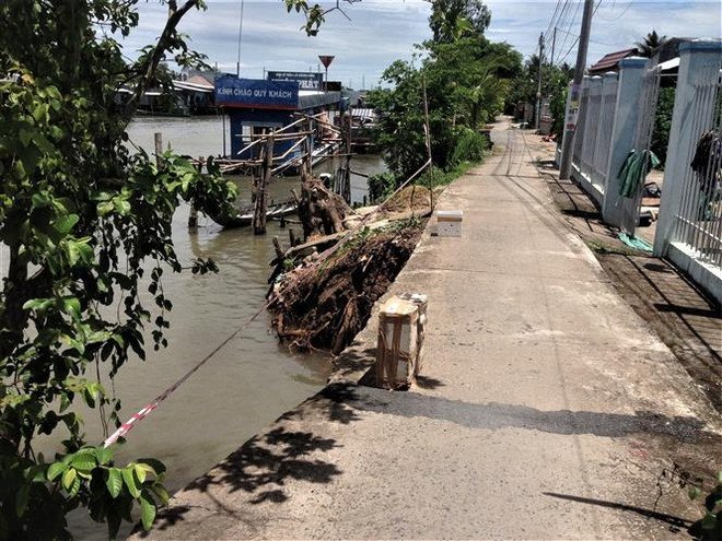 An Giang: Sạt lở nghiêm trọng xảy ra tại hai khu bờ rạch ảnh 2