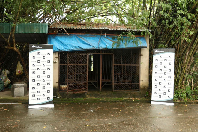 Cứu hộ 2 cá thể gấu ngựa quý khoảng 20 năm tuổi tại tỉnh Vĩnh Phúc ảnh 6