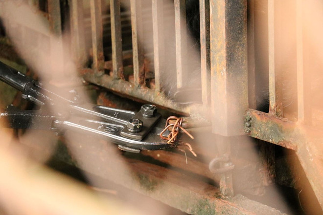 Cứu hộ 2 cá thể gấu ngựa quý khoảng 20 năm tuổi tại tỉnh Vĩnh Phúc ảnh 2