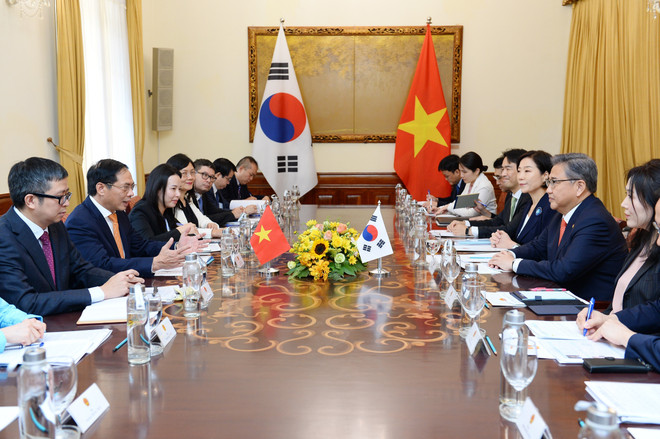 Bộ trưởng Ngoại giao Bùi Thanh Sơn hội đàm với Ngoại trưởng Hàn Quốc ảnh 2