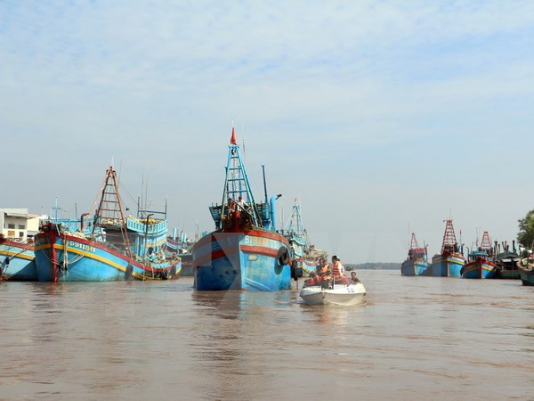 Các tỉnh, thành phố ven biển chủ động ứng phó với áp thấp nhiệt đới ảnh 1