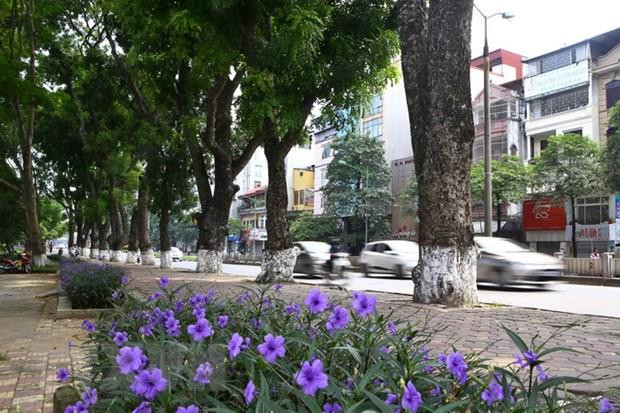 Huy động các sáng kiến xanh cho Hà Nội phát triển bền vững ảnh 1