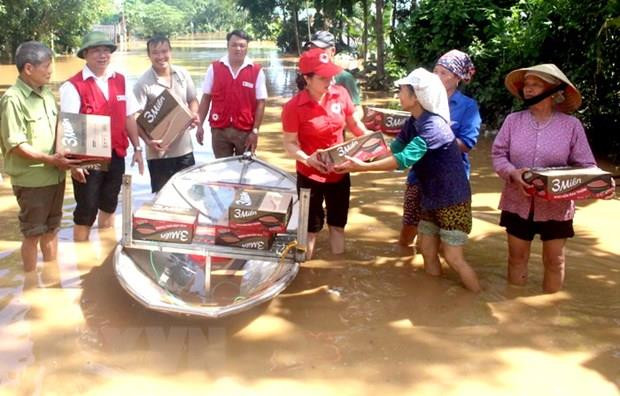 Cán bộ chữ thập đỏ cứu trợ người dân vùng lũ. (Nguồn: TTXVN) Hội Chữ thập Đỏ Việt Nam cứu trợ khẩn cấp các tỉnh Tây Nguyên, Nam Bộ ảnh 1