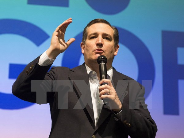 Thượng nghị sỹ Ted Cruz quyết định ủng hộ tỷ phú Donald Trump ảnh 1