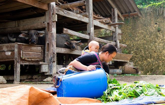 Vấn nạn tảo hôn: Điều hối tiếc của những đứa trẻ làm bố mẹ quá sớm ảnh 3
