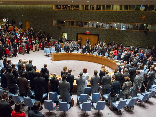 Hội đồng Bảo an hoàn tất dự thảo nghị quyết vụ rơi máy bay MH17 ảnh 1