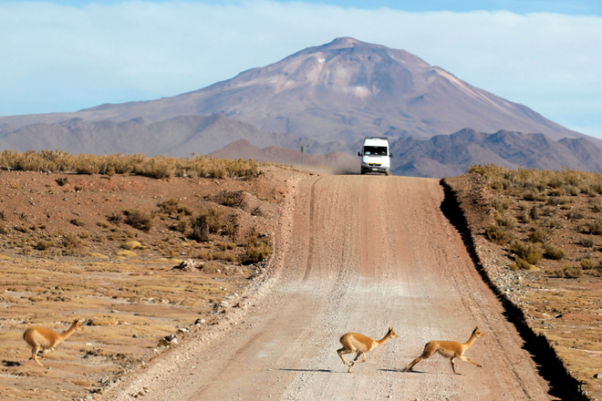 Bé trai 5 tuổi sống sót thần kỳ sau 24 giờ bị lạc giữa sa mạc ảnh 1