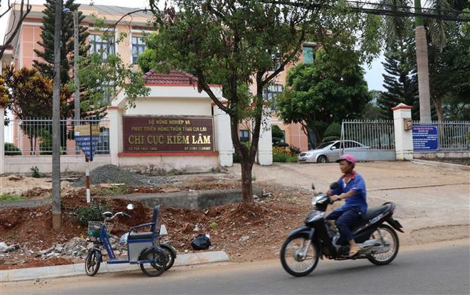 Chuyển hồ sơ vụ "đội giá" thiết bị tại Chi cục Kiểm lâm Gia Lai ảnh 1