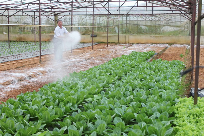 JICA hợp tác hình thành chuỗi giá trị nông sản tại Việt Nam ảnh 1