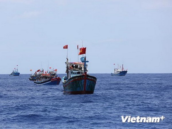 Tích cực tìm ngư dân mất tích trong vụ chìm ghe ở Quảng Ngãi ảnh 1