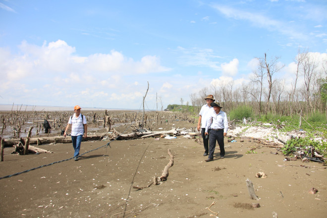 Bến Tre: Sạt lở bờ biển ngày càng diễn ra nghiêm trọng ảnh 2