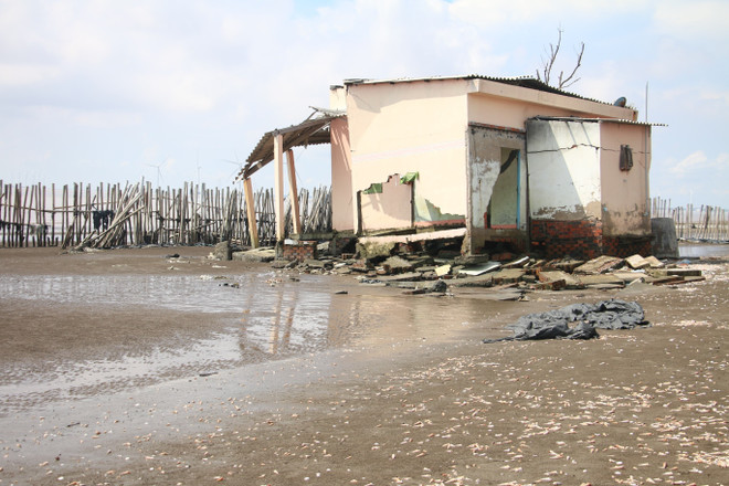 Bến Tre: Sạt lở bờ biển ngày càng diễn ra nghiêm trọng ảnh 1