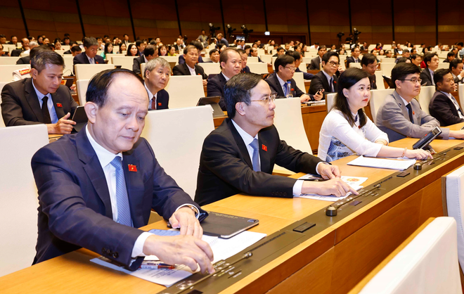 Đại biểu Quốc hội biểu quyết thông qua nghị quyết. (Ảnh: Doãn Tấn/TTXVN) dai bieu quoc hoi bieu quyet.PNG