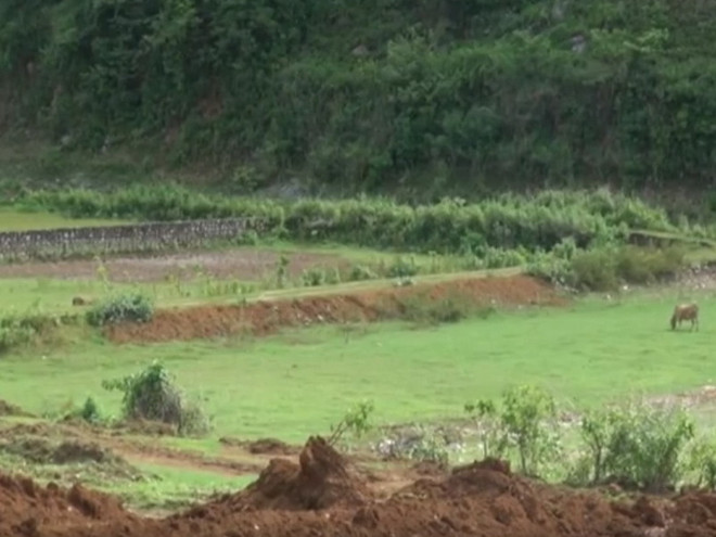 [Video] Khu đất vàng bị bỏ hoang suốt hơn 20 năm tại Sơn La ảnh 1