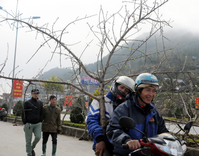 Không khí lạnh tăng cường, Bắc Bộ rét đậm trong tuần sát Tết ảnh 1