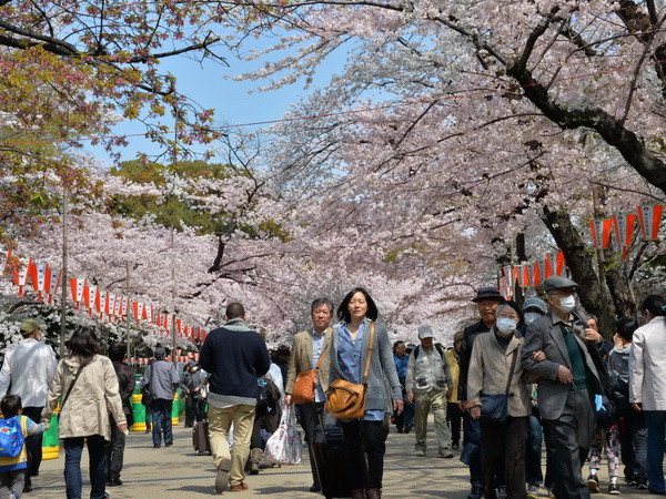 Người dân ngắm hoa nở tại công viên ở Tokyo ngày 2/4. (Nguồn: AFP/TTXVN) Mở rộng miễn phí wifi nhằm thu hút du khách quốc tế tại Nhật Bản ảnh 1