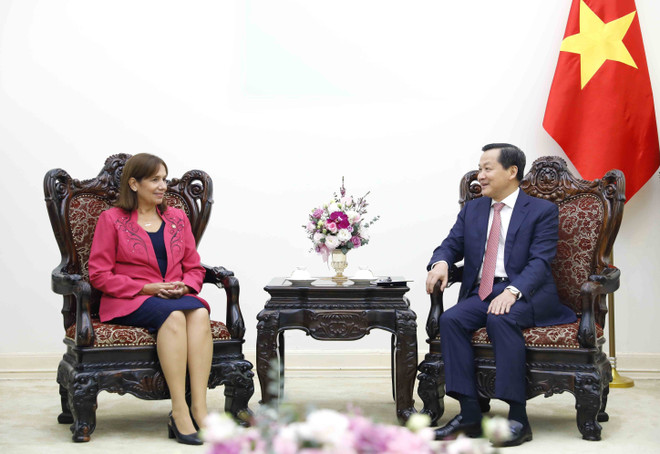 Tiếp tục phát triển quan hệ Việt Nam-Cuba đi vào chiều sâu ảnh 1