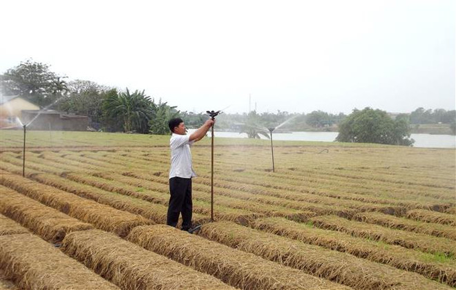 Kinh tế trang trại tại Bắc Ninh: Hiệu quả cao nhưng khó khăn về vốn ảnh 1