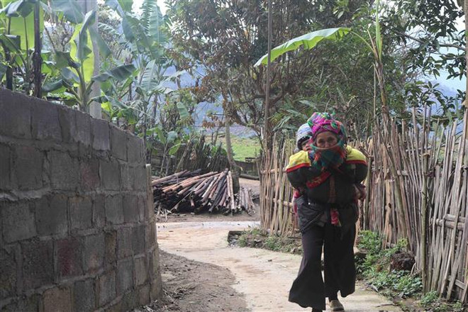 Bắc Bộ và Bắc Trung Bộ chấm dứt rét đậm, nền nhiệt tăng 1-3 độ C ảnh 1