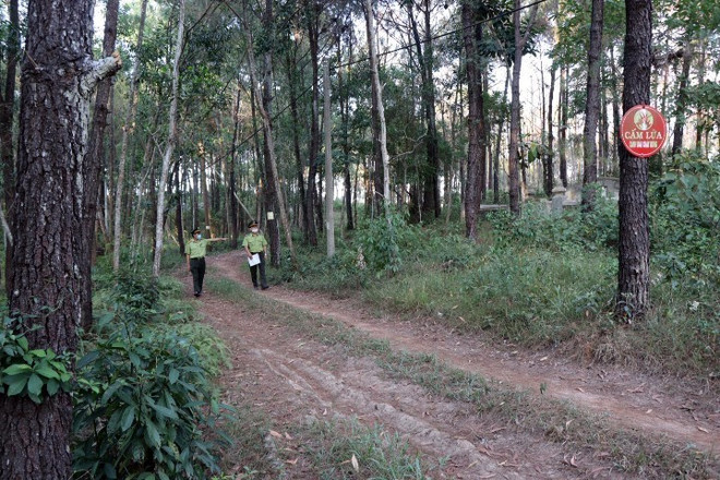 Thừa Thiên-Huế: Trực chiến sẵn sàng đối phó với “giặc lửa” trong rừng ảnh 1