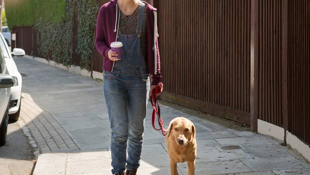 Đức yêu cầu người nuôi chó phải đưa chó đi dạo 2 lần mỗi ngày ảnh 1