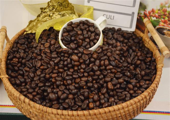 Việt Nam hướng tới xây dựng chuỗi ngành hàng càphê Việt Nam chất lượng cao gắn với tăng trưởng xanh và phát triển bền vững. (Ảnh: Hoài Thu/TTXVN) Doanh nghiệp Việt lưu ý những quy định nhập khẩu hàng hóa mới của EU ảnh 1