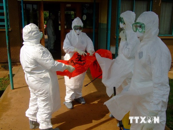 Các chuyên gia y tế Cuba tới Sierra Leone dập dịch Ebola ảnh 1