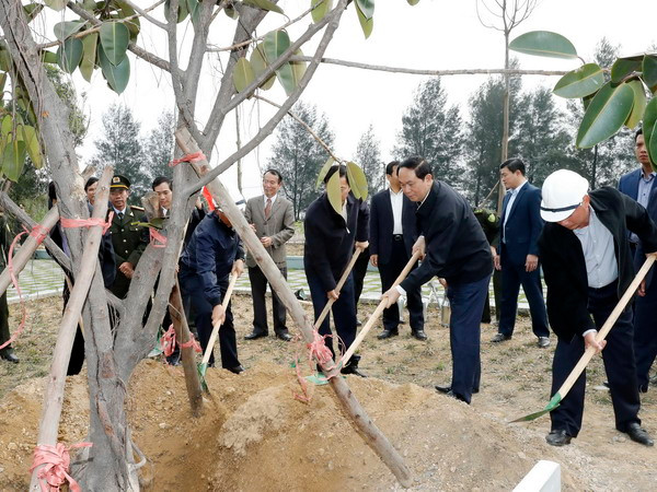 Chủ tịch nước kêu gọi nâng cao ý thức và trách nhiệm bảo vệ rừng ảnh 1