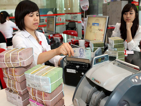 Ban hành Nghị định về tổ chức và hoạt động của SCIC ảnh 1