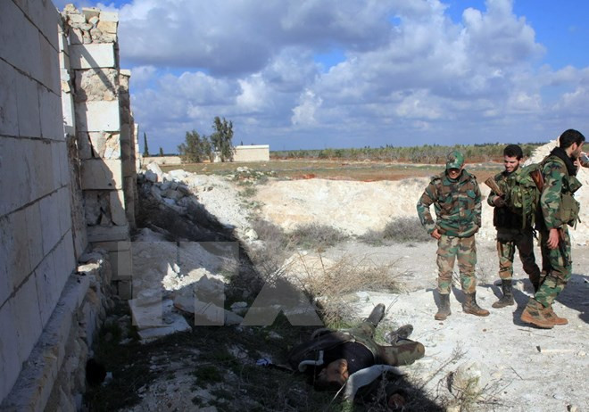 Ngoại trưởng Thổ Nhĩ Kỳ hoan nghênh nỗ lực của Nga tại Syria ảnh 1