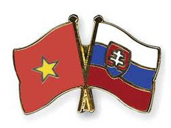 TP.HCM đẩy mạnh hợp tác với các địa phương của Slovakia ảnh 1