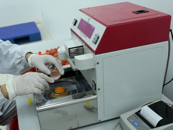 Doanh nghiệp Việt cần thích ứng với Cách mạng công nghiệp 4.0 ảnh 1