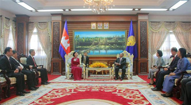 Chủ tịch Quốc hội Campuchia tiếp Đoàn đại biểu Đảng Cộng sản Việt Nam ảnh 1