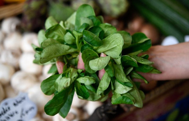 Pháp cấm sử dụng loại thuốc trừ sâu đang được dùng phổ biến ảnh 1