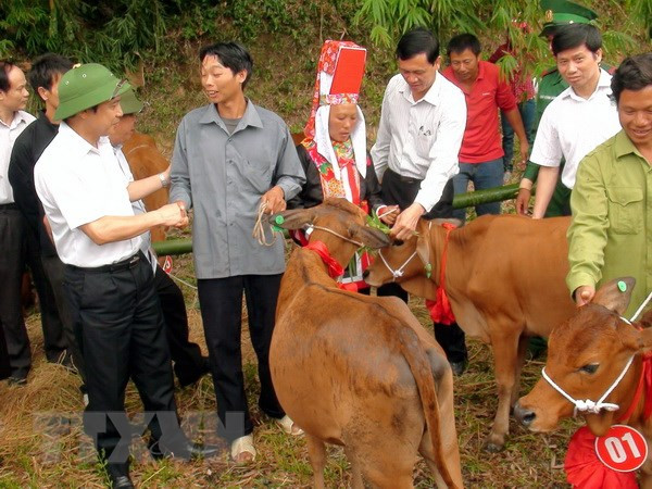 Giảm nghèo: Không hô khẩu hiệu, hướng tới sự bền vững, thiết thực ảnh 2