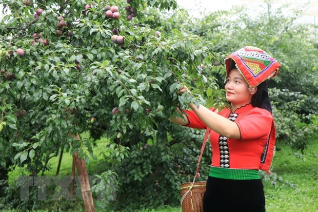 Giảm nghèo: Không hô khẩu hiệu, hướng tới sự bền vững, thiết thực ảnh 1