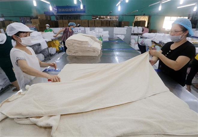 Linh hoạt giải pháp xuất khẩu để chủ động ứng phó mọi tình huống ảnh 2