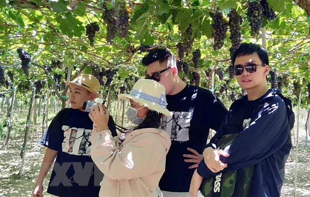 Khám phá vùng đất được mệnh danh “miền sa thảo” độc nhất Đông Nam Á ảnh 2