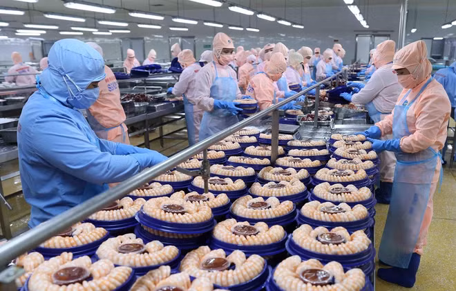 Tạo liên kết chặt chẽ khi xuất khẩu sang thị trường Hà Lan ảnh 1
