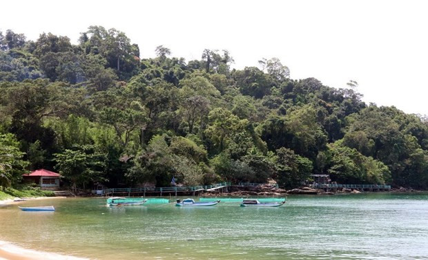 Kiên Giang: Đề nghị kỷ luật Trưởng ban Quản lý Khu kinh tế Phú Quốc ảnh 1