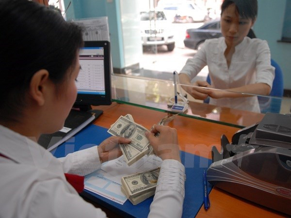 Ảnh chỉ mang tính minh họa (Nguồn: Vietnam+) Nghị định bổ sung quy định điều kiện hoạt động của đại lý đổi ngoại tệ ảnh 1