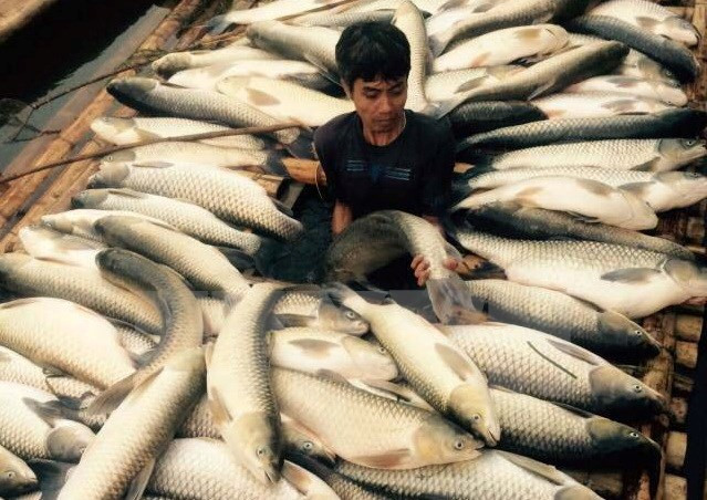 Xử phạt 3 doanh nghiệp, cơ sở “đầu độc” sông Bưởi gần 4 tỷ đồng ảnh 1