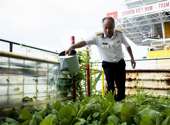 Tăng gia trên nhà giàn giữa biển khơi mênh mông, quanh năm sóng gió ảnh 1