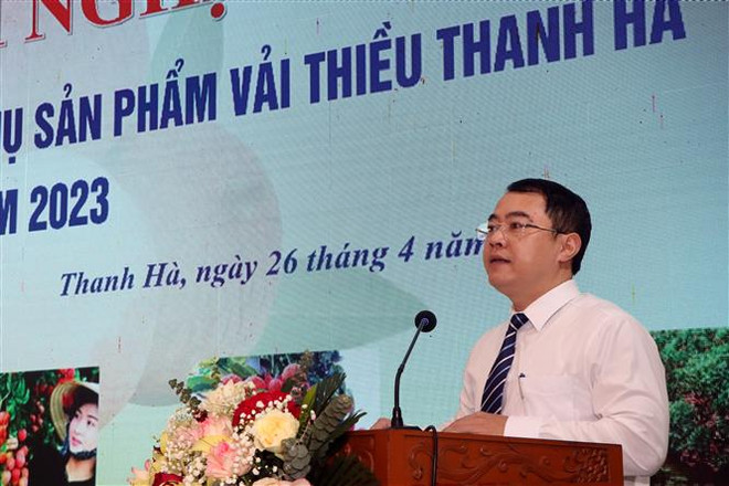 Hải Dương chủ động thị trường cho mùa vải thiều Thanh Hà 2023 ảnh 2